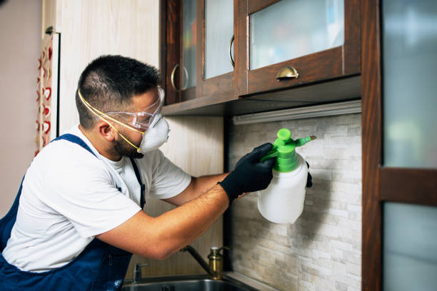 Best Best Pest Control Companies  in Willard, OH