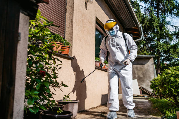 Best Pest Control for Restaurants  in Willard, OH