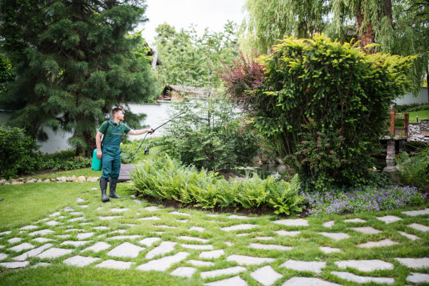 Best Exterminator Services  in Willard, OH