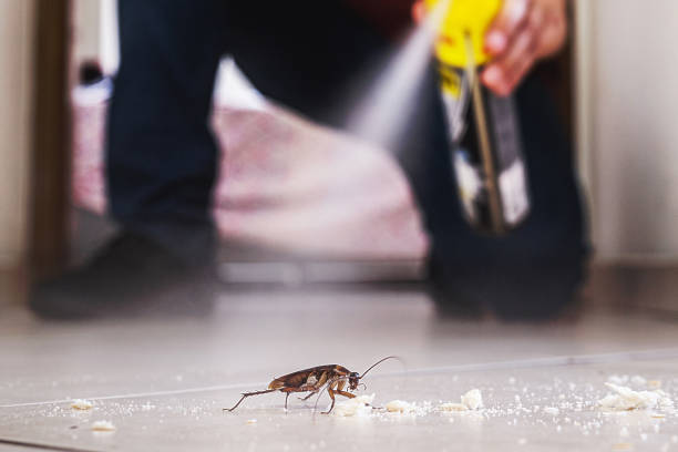 Best Affordable Pest Control Services  in Willard, OH